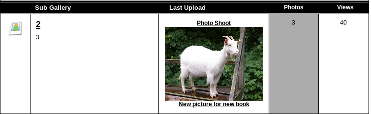 UNION’d values visible on the site