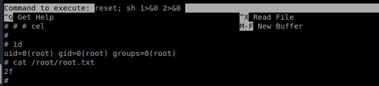 Root shell